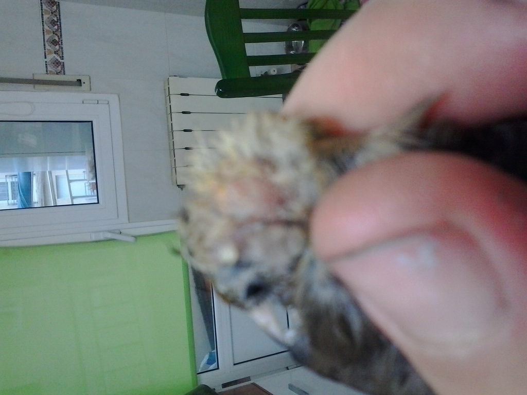 20141001_192827.jpg