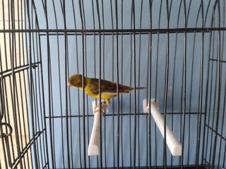 IMG-20140929-WA0035.jpg