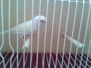IMG-20140929-WA0025.jpg