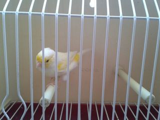 IMG-20140929-WA0024.jpg