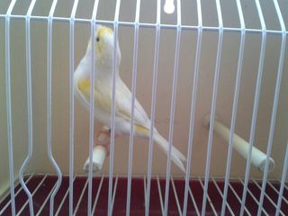 IMG-20140929-WA0028.jpg