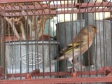 CIMG0793.JPG