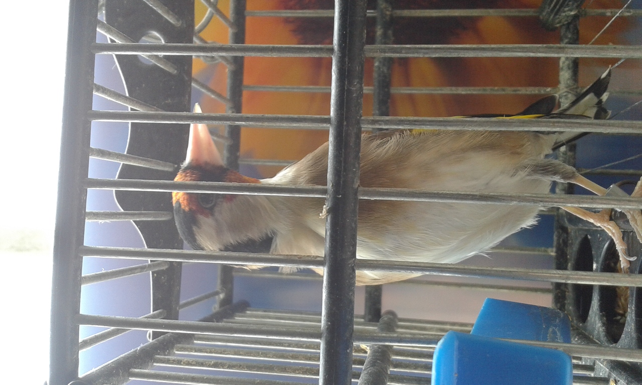 20140927_135500.jpg