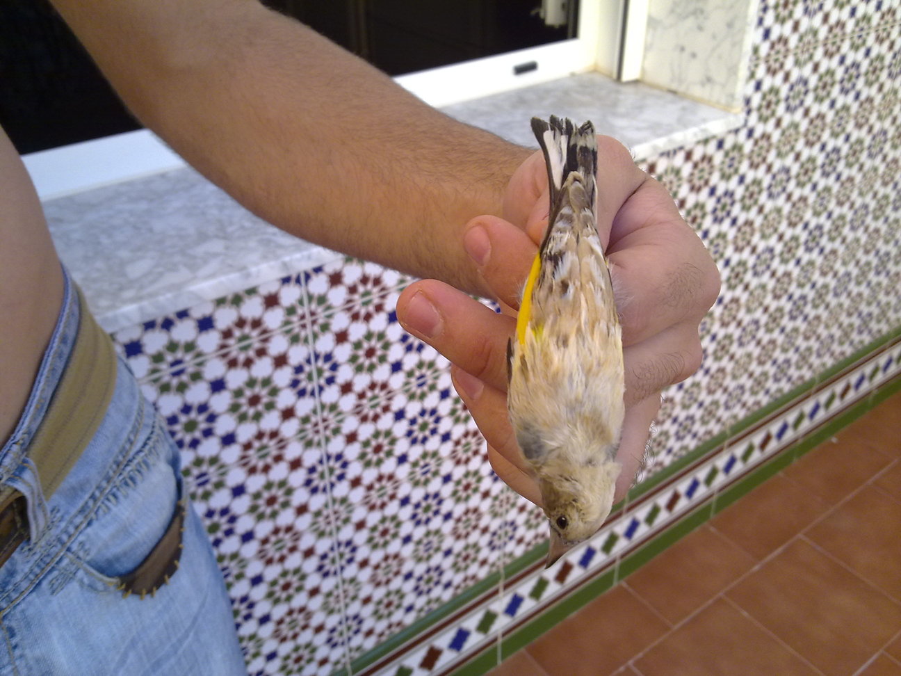 02082010159.jpg