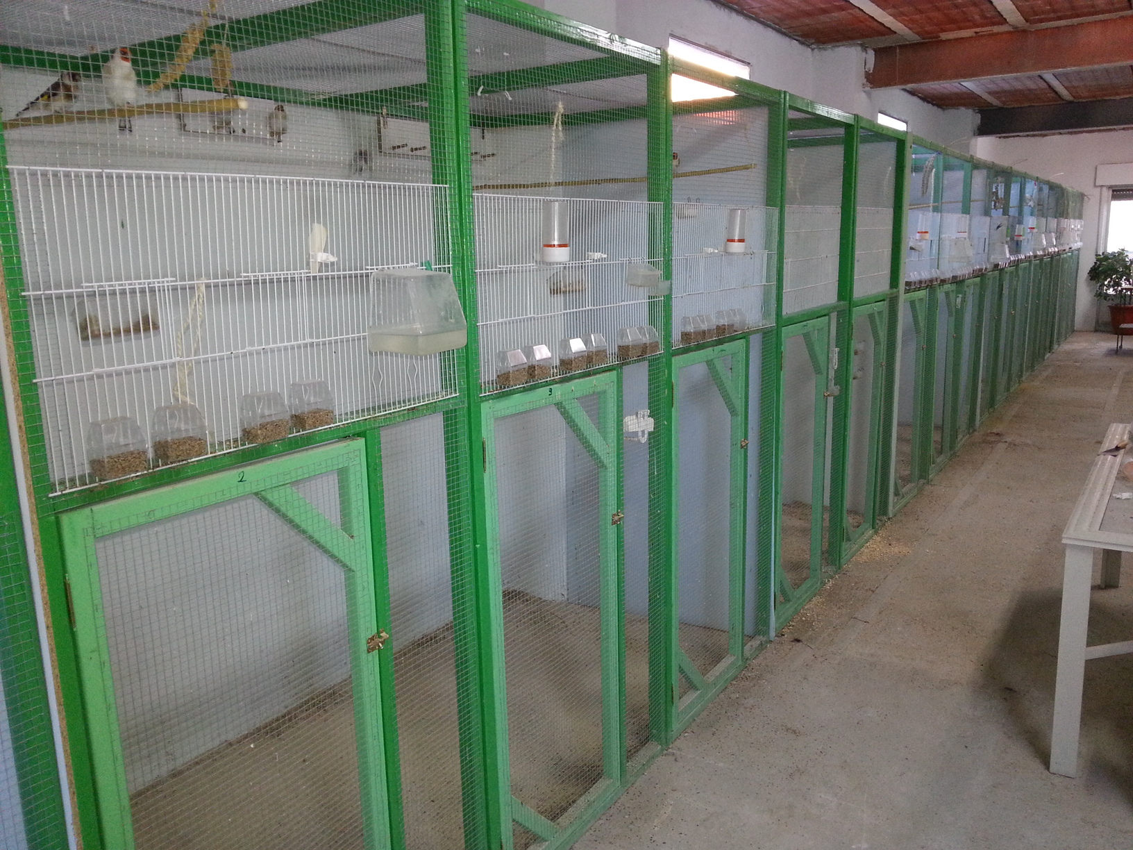 20141008_092007.jpg