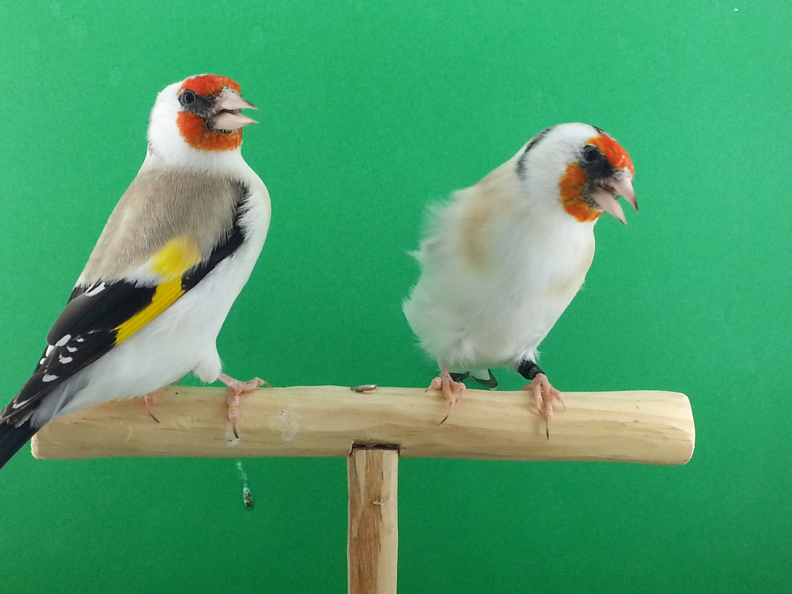 20140920_115310.jpg
