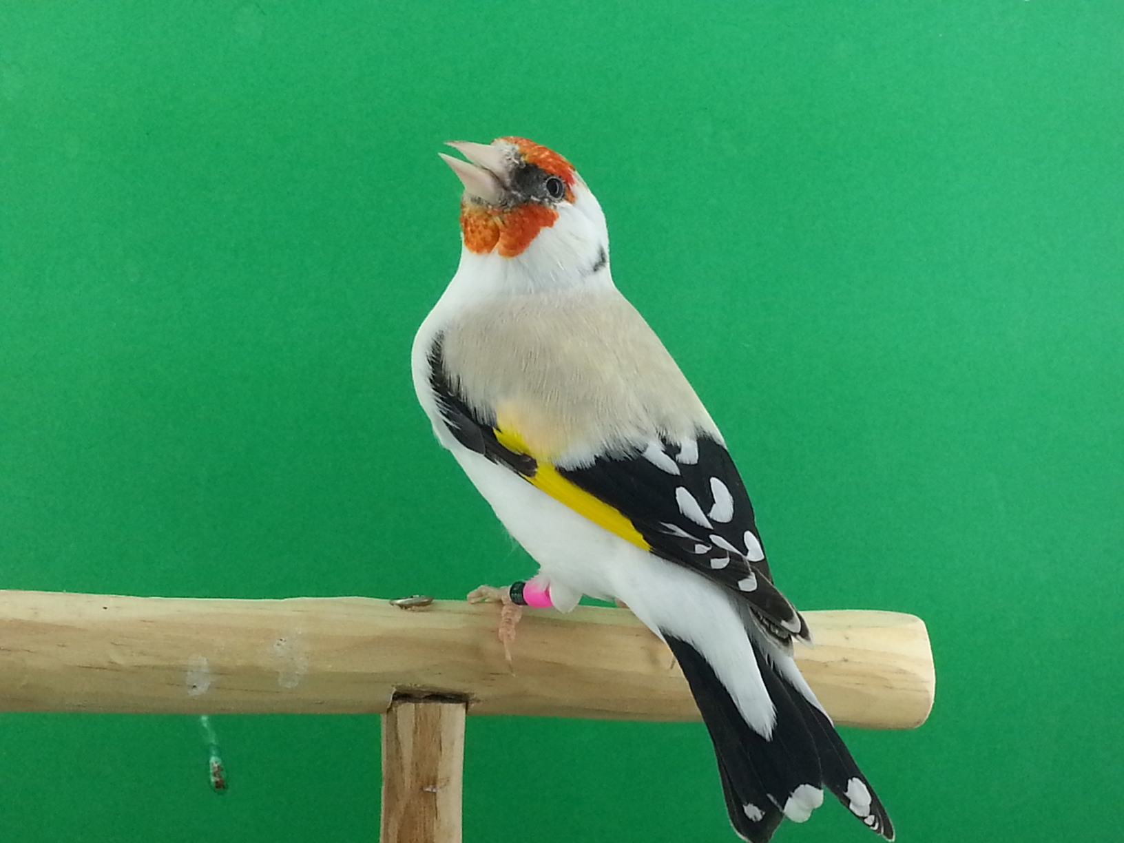 20140920_115541.jpg