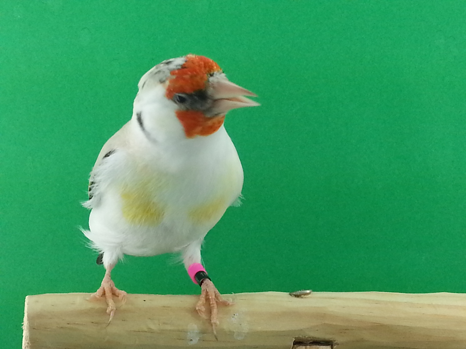 20140920_115618.jpg