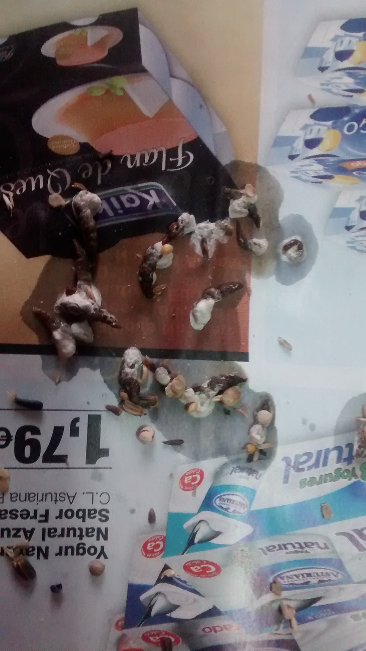 2014-10-12 17.10.15.jpg