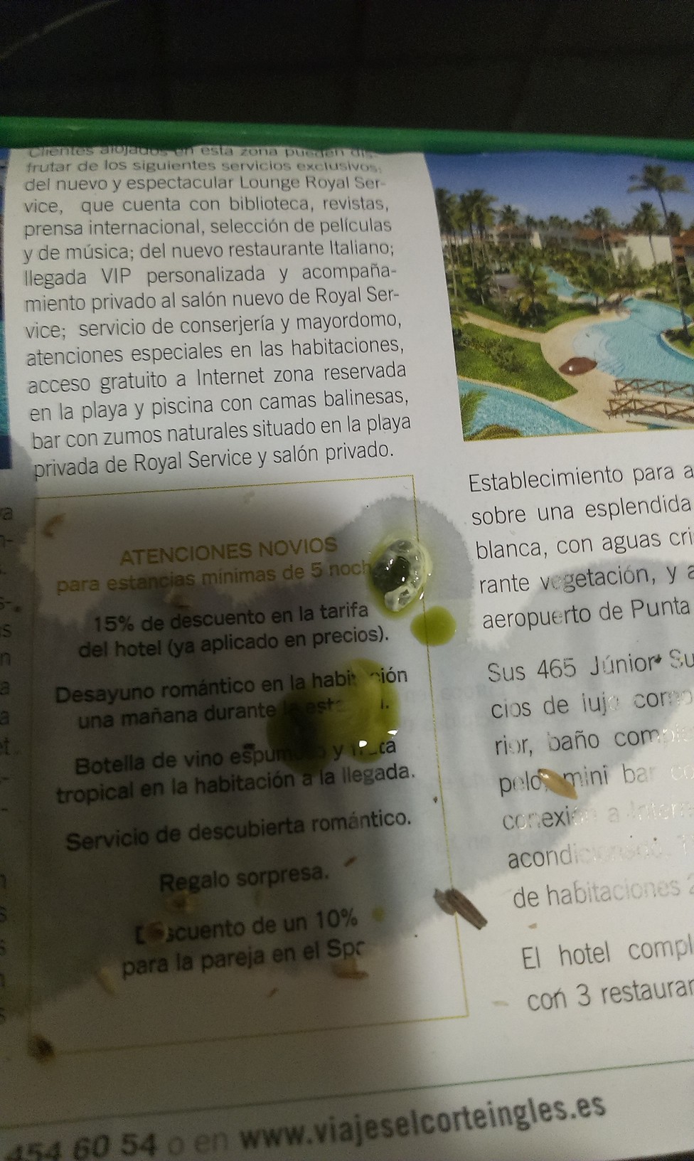 IMAG0251.jpg