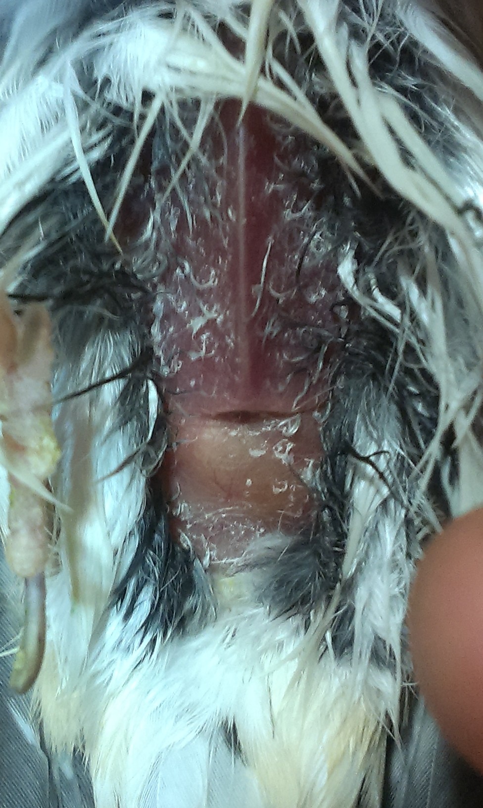 IMAG0254.jpg