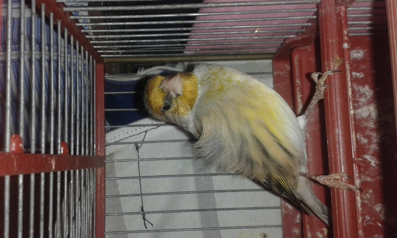 20141017_213701.jpg