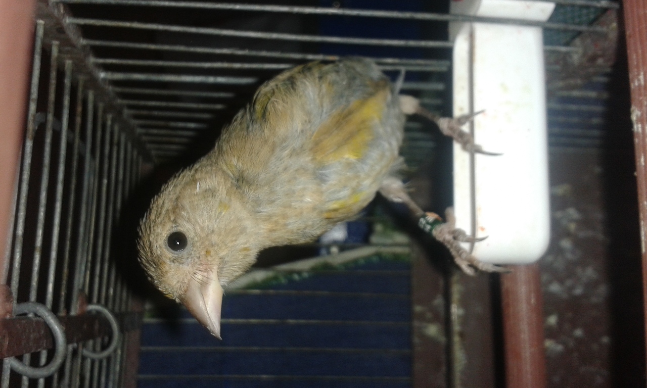 20141017_213840.jpg