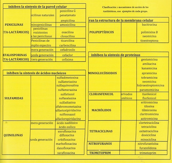 Imagen (15).jpg