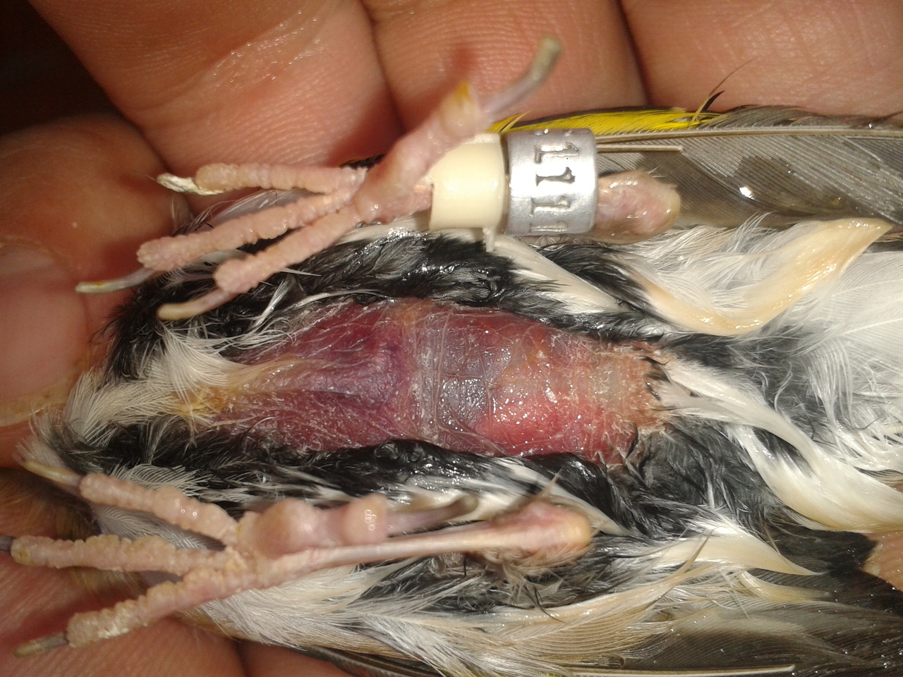 2014-10-25 13.03.47.jpg