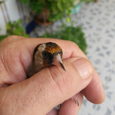 2014-10-26 19.34.27.jpg