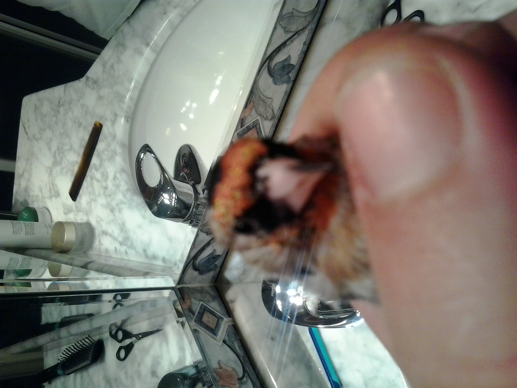 20141030_100842.jpg