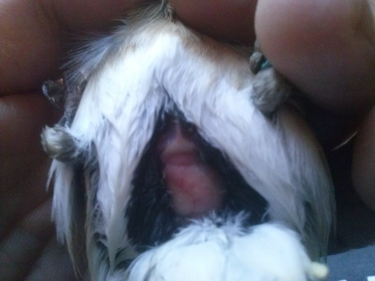 CAM01126.jpg