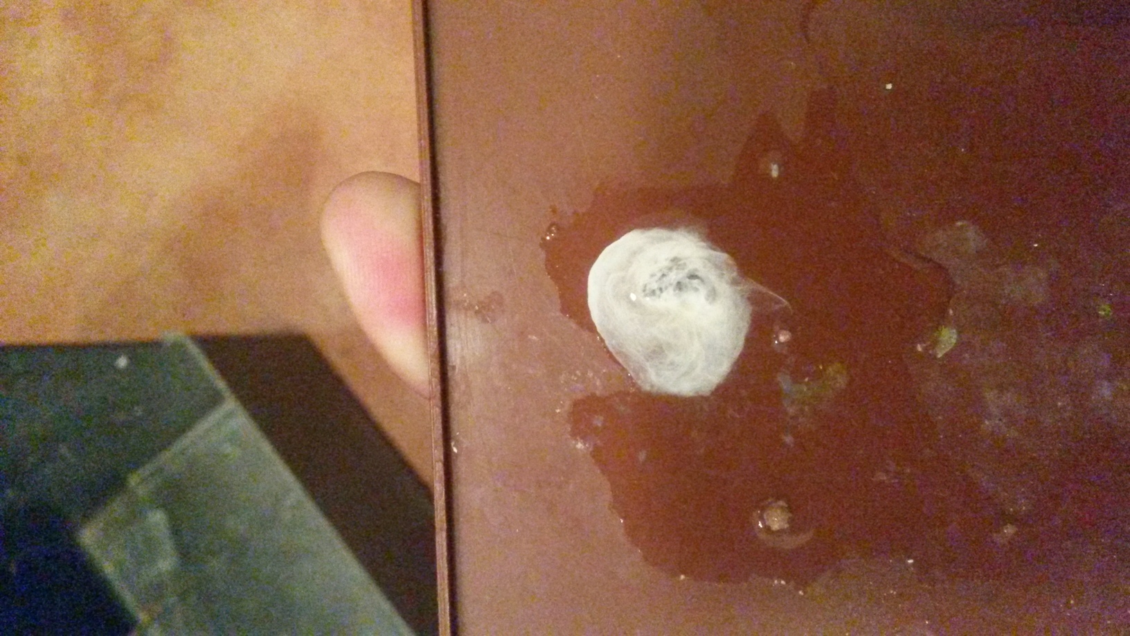 20141111_181732.jpg
