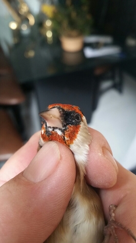 2014-11-15 14.47.43.jpg