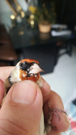 2014-11-15 14.47.17.jpg