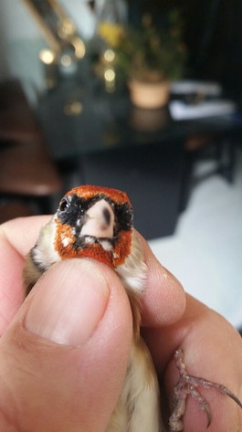 2014-11-15 14.46.45.jpg