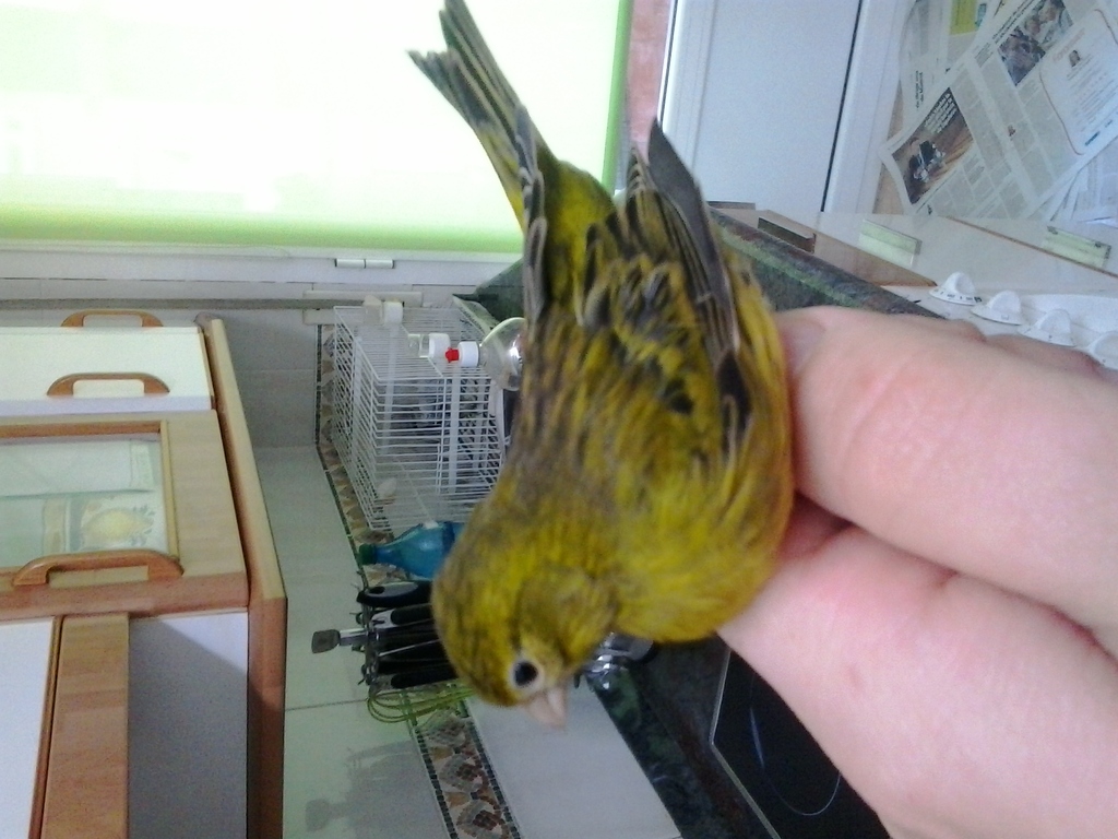 20141118_094326.jpg