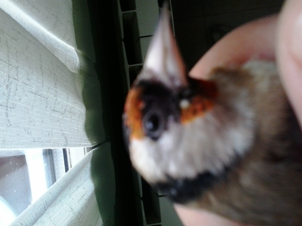 20141118_141445.jpg