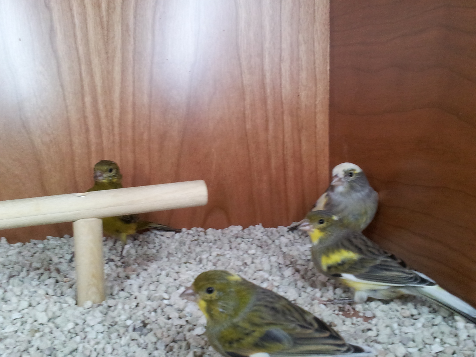 20141102_161020.jpg