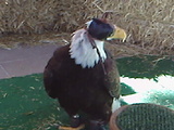 IMG328.jpg