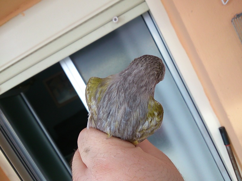 DSC_0637.JPG