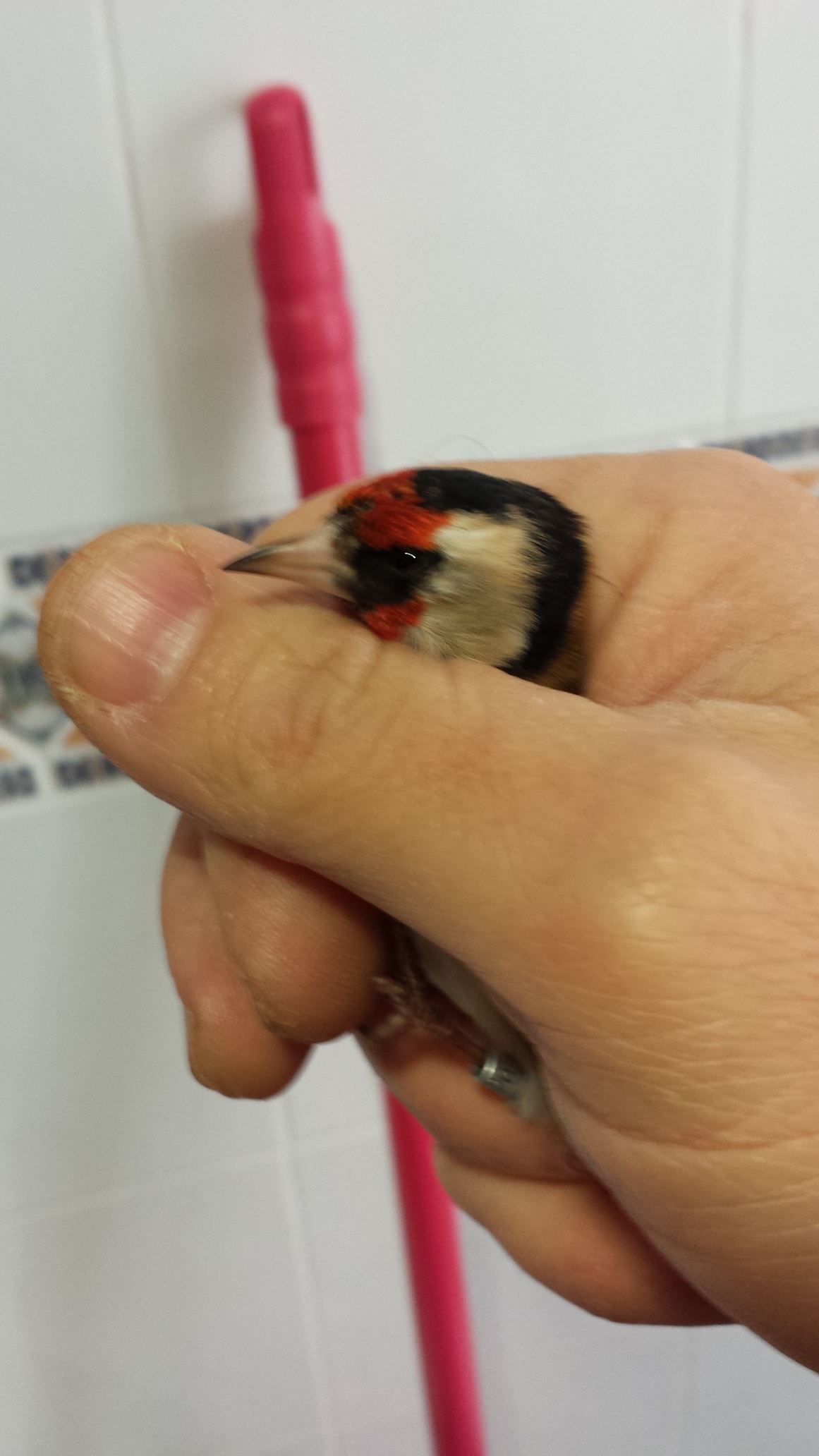 20141127_130701.jpg