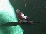 IMG331.jpg