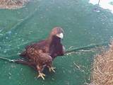 IMG333.jpg