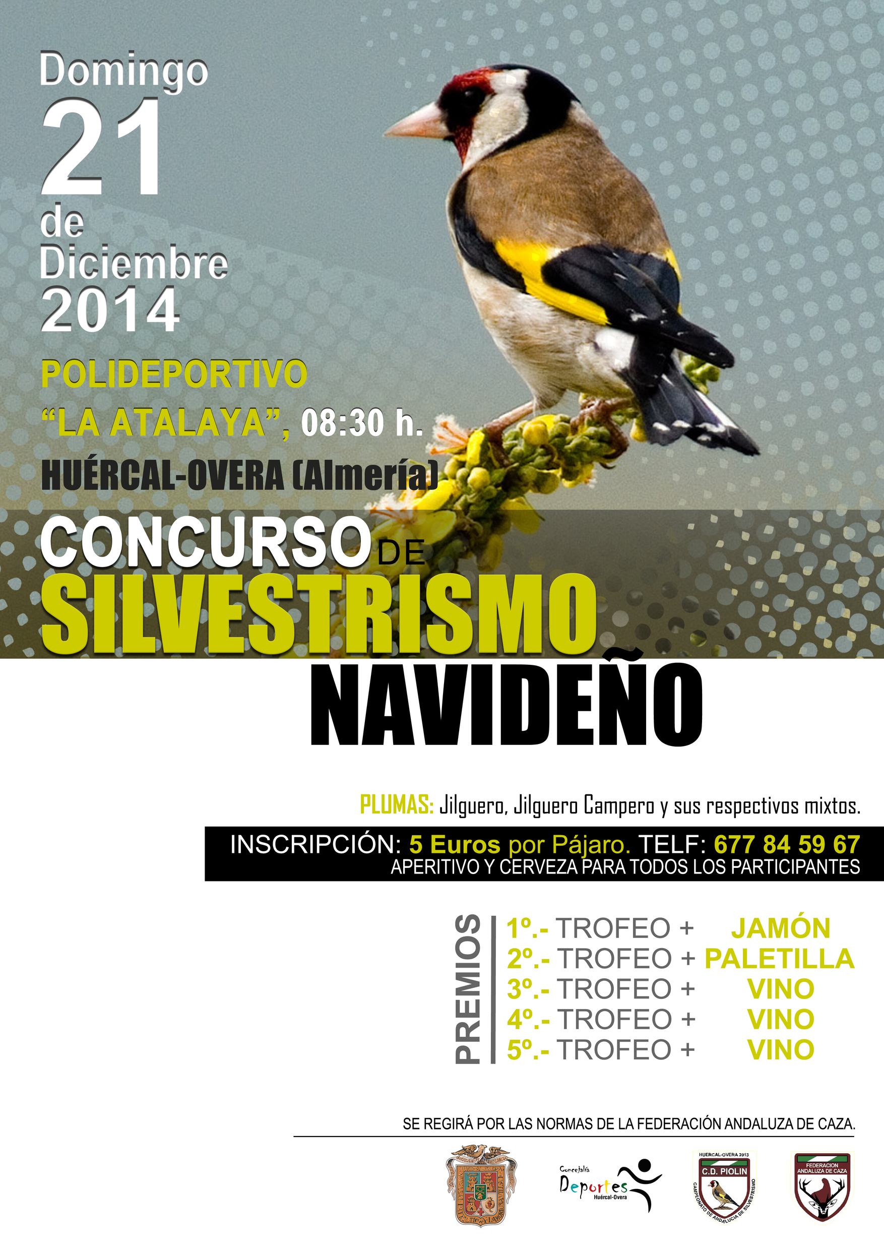Cartel Concurso Silvestrismo 2.jpg