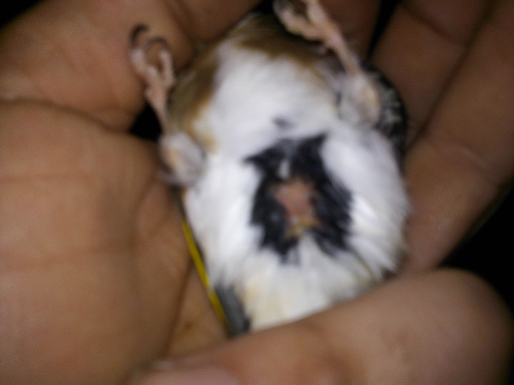 IMG-20141206-WA0034.jpeg