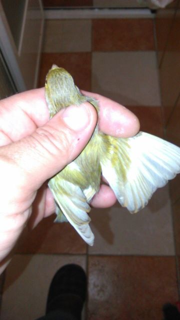 IMG-20141213-WA0005.jpg