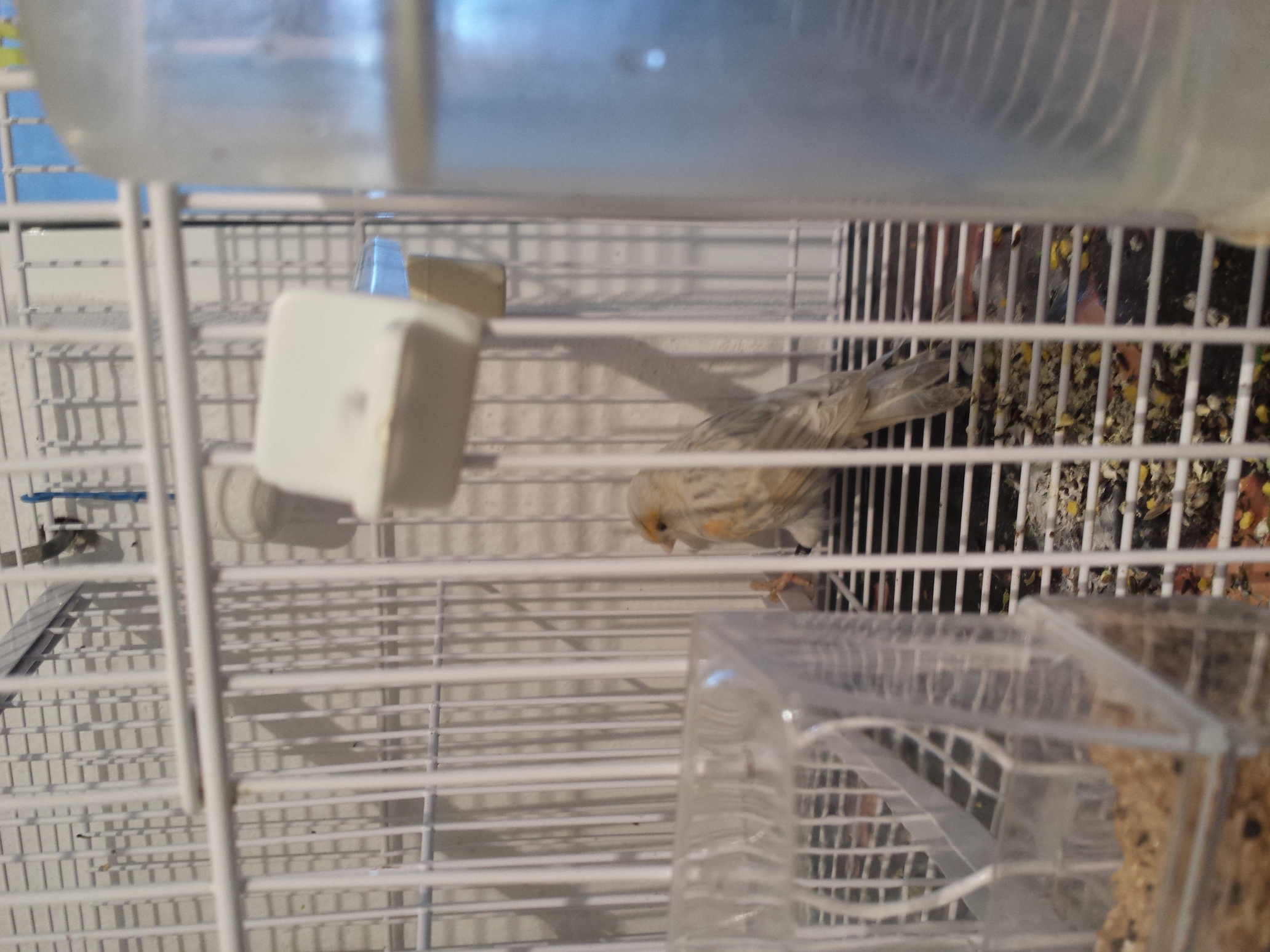 20141216_181047.jpg