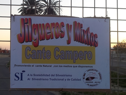 cartel de campero.jpg