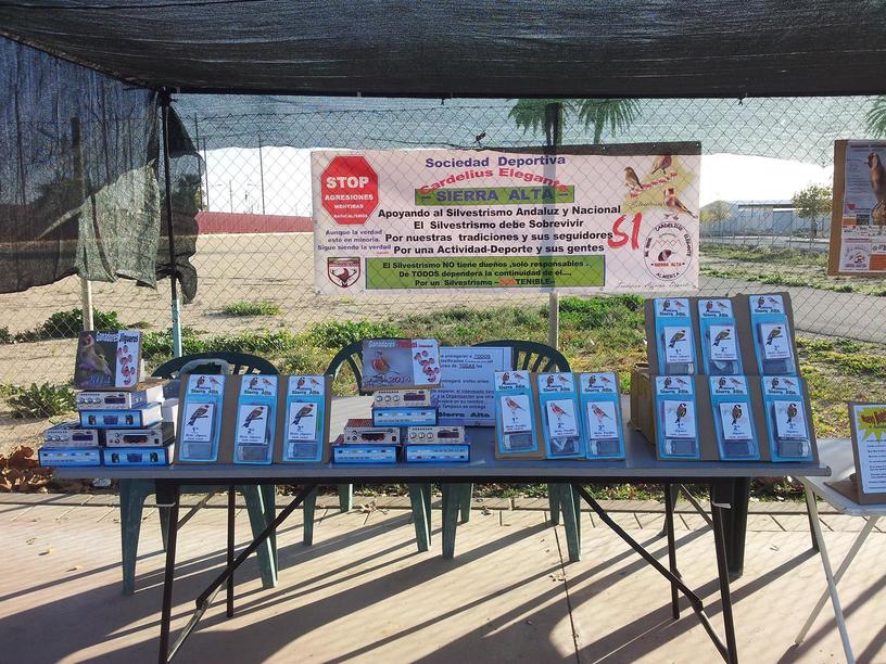 Todos los trofeos 1.JPG