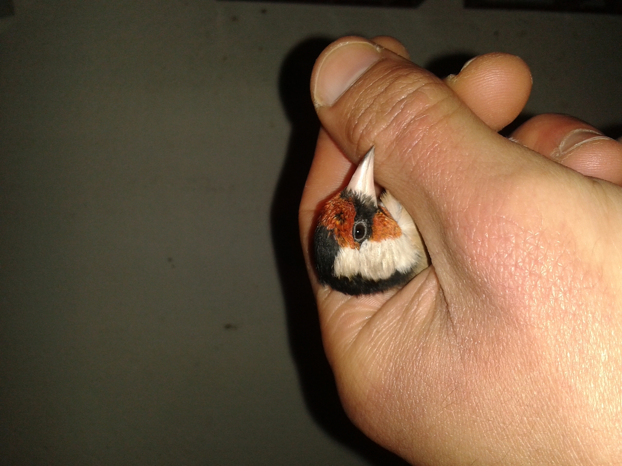 20150108_182904.jpg