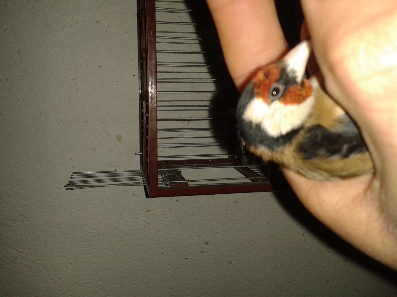 20150108_183058.jpg