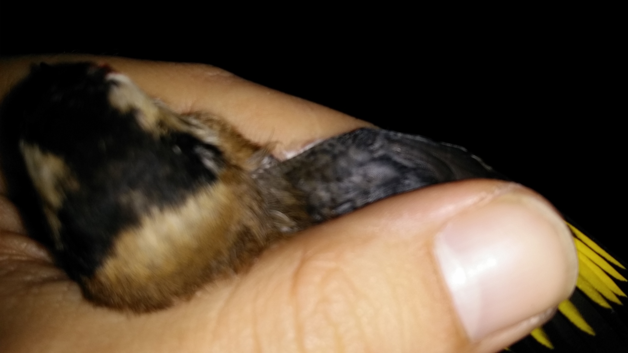 20150113_091820.jpg