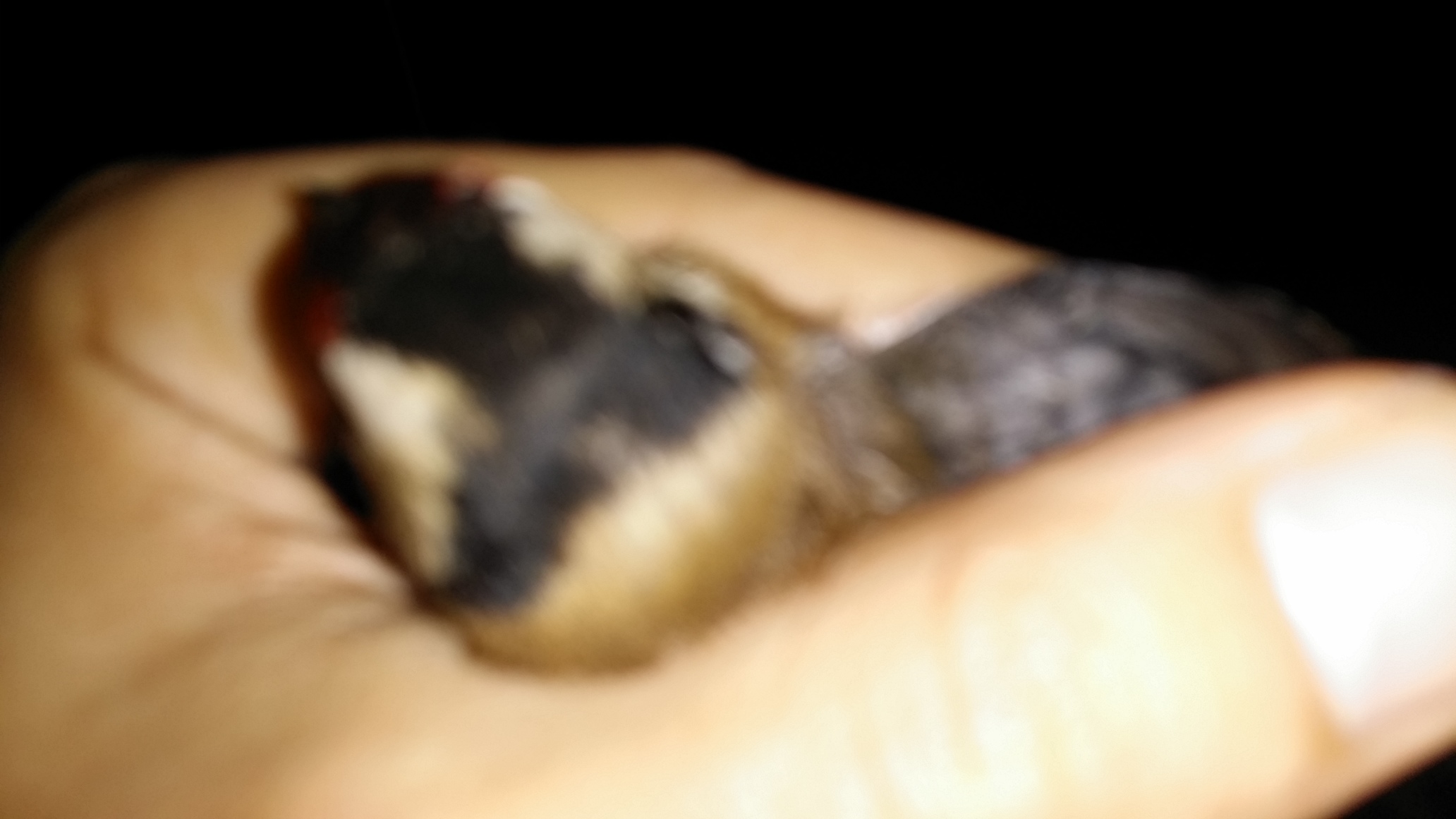 20150113_091832.jpg