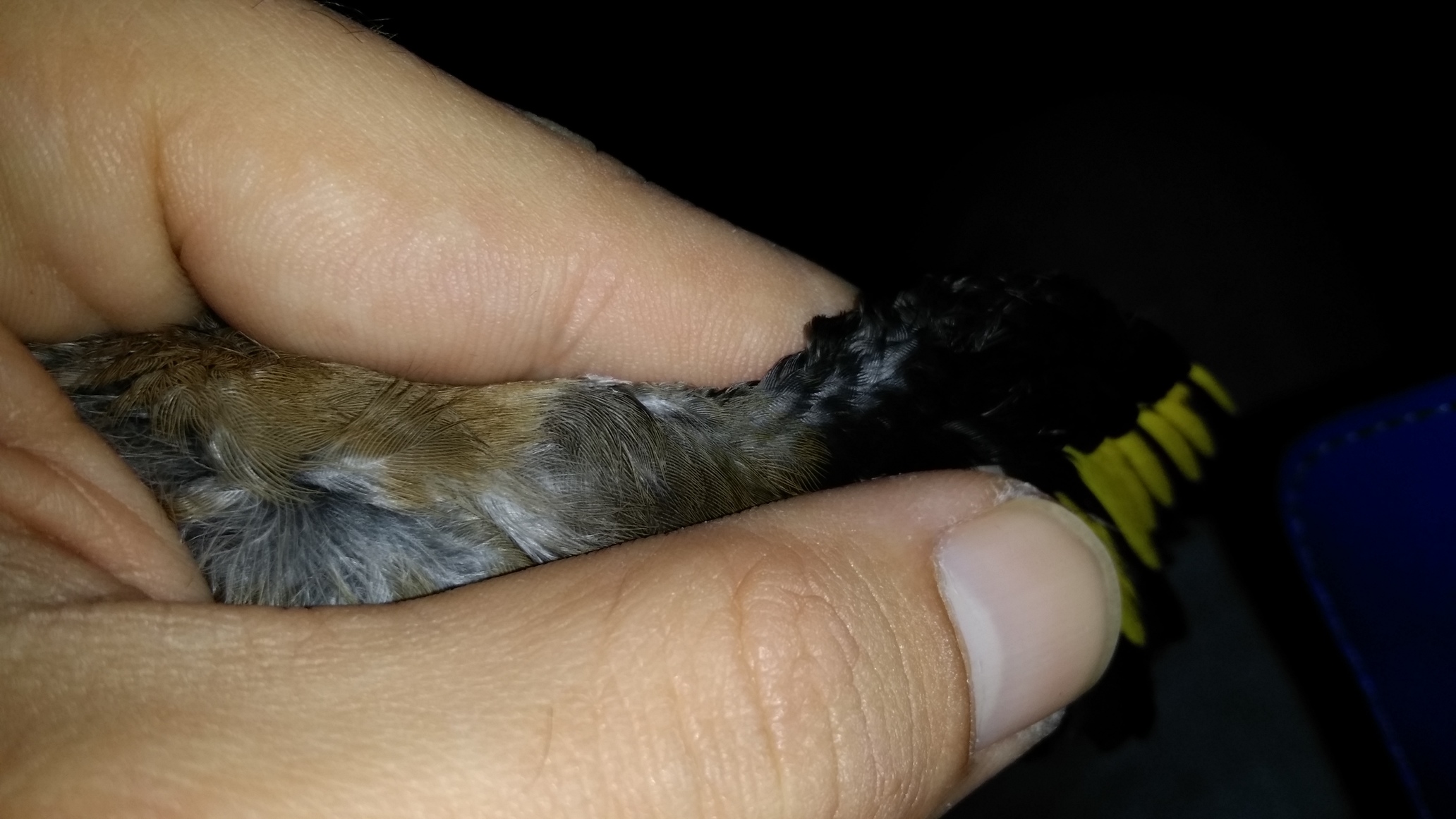 20150113_102331.jpg