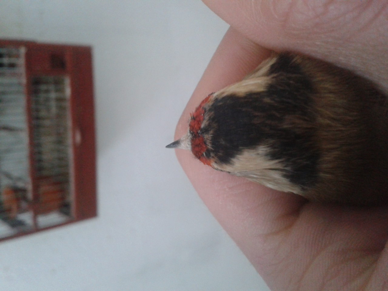20150113_174911.jpg
