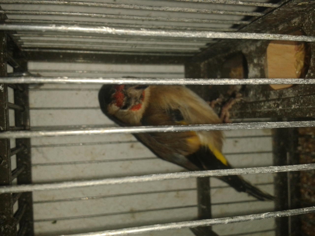 20150113_174752.jpg
