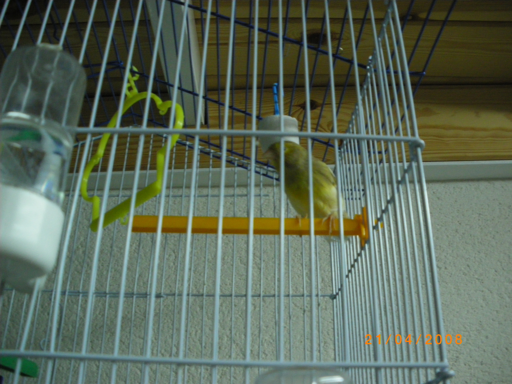 IMGP0055.JPG