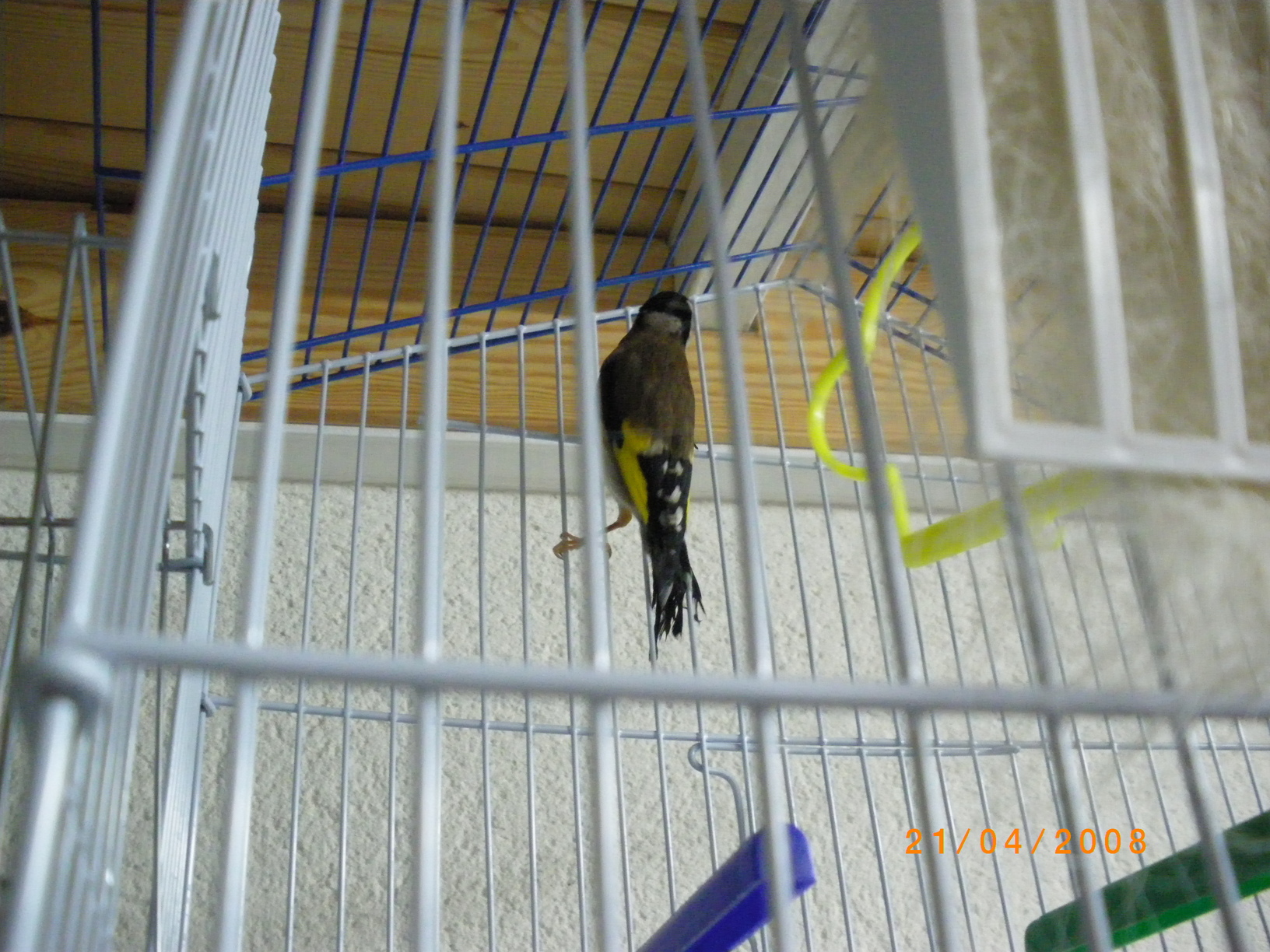 IMGP0058.JPG