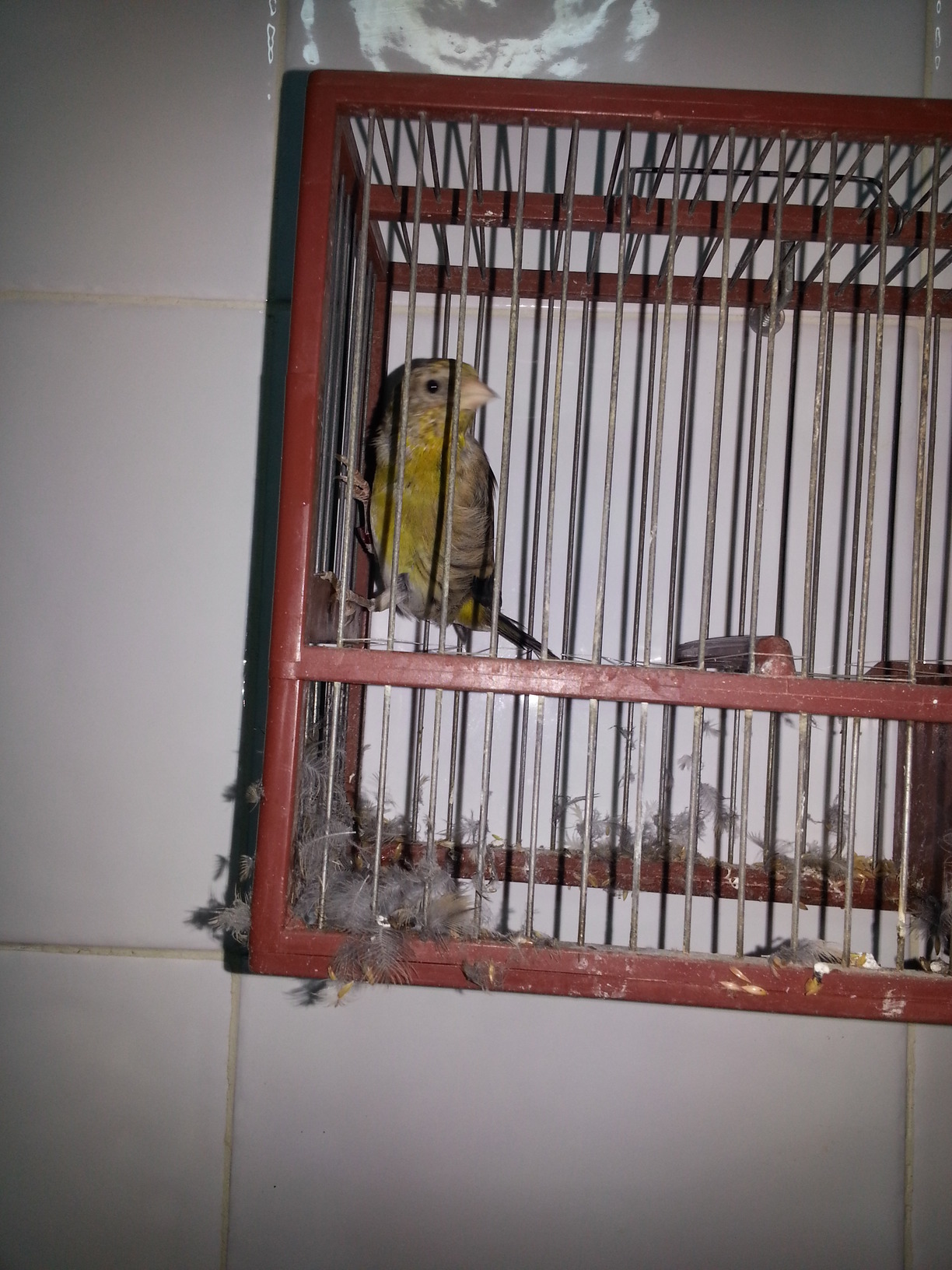20150126_194512.jpg